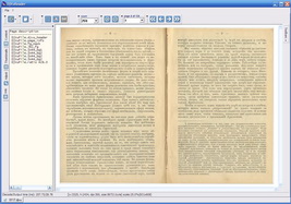 Описание открытой страницы в DjVu Reader
